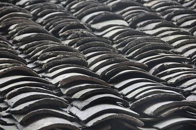 《鬼武者：剑之道》《生化危机9》TGS 2025宣传片