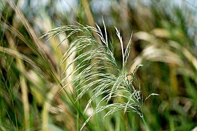 《黎明杀机》新章节“谋杀画像”正式上线 新杀手新逃生者