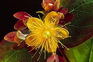 《Apex英雄》第17赛季“军火库”5月9日上线